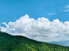 -深圳市中科院仙湖植物园