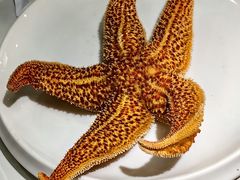 -大锅强·蒸海鲜青岛菜(金沙滩店)
