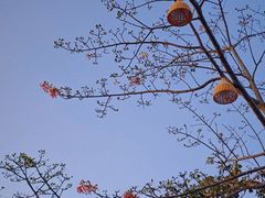 -风云岭森林公园