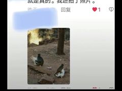 -昆明动物园