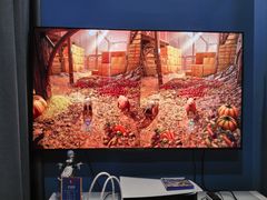 -浣熊部落ps4 ps5 switch 电玩(茶店子店)