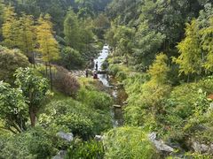 -云溪植物园