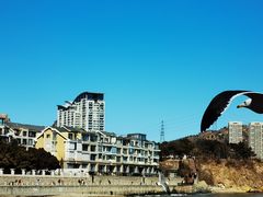 -黑石礁公园