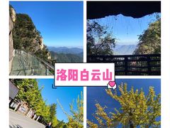 -洛阳白云山景区
