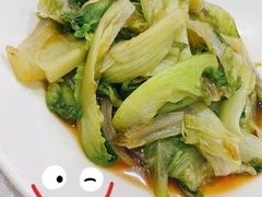 蚝油生菜-津悦·正阳春烤鸭(红旗南路店)