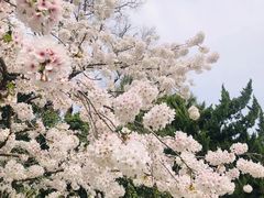 -中山公园