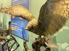 -陕西自然博物馆