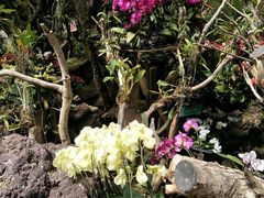 -南通洲际绿博园