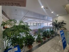 -北京大学口腔医院(魏公村总院)