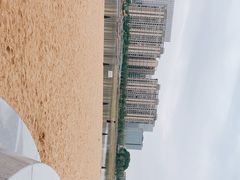 -金沙湖公园