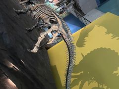 -湖南省地质博物馆