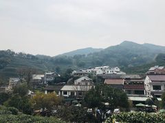 -龙井村