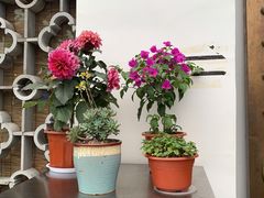 -徽三说·土徽菜·中国徽菜连锁品牌(一中店)