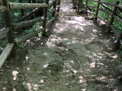 -王顺山国家森林公园