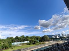 -深圳野生动物园