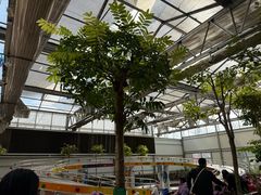 -南宫五洲植物乐园