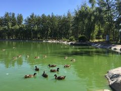 -中家鑫园温泉酒店鑫悦汤泉