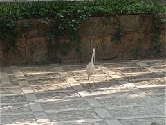 -昆明动物园