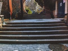 -观象山公园