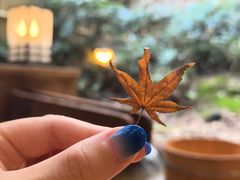 -有马温泉 竹取亭円山温泉旅馆