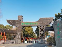 -溱湖国家湿地公园