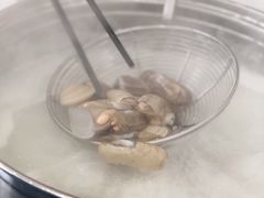 -蚝专家