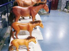 -吉林省自然博物馆