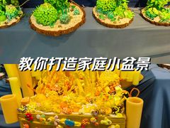 -松哥油焖大虾·外卖(西乡店)