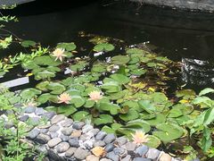 -宁波九龙湖开元度假村
