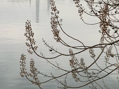 -重庆园博园
