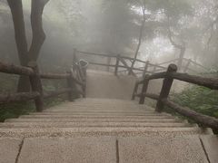 -王顺山国家森林公园
