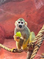 -Zoolung Zoolung动物主题公园(海信广场店)