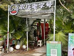 -芭厘·农庄老字号.电饭煲五指毛桃焗鸡