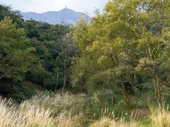 -飞霞风景名胜区