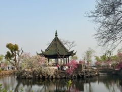 -无锡蠡湖国家湿地公园-蠡园