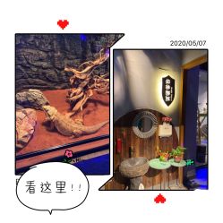 -未来动物城动物主题公园(大悦城店)