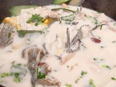 -鲜潭蒸汽石锅鱼(五道口购物中心店)