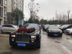 -蚂蚁婚车