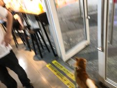 -1013 PET SHOP 宠物商店(近铁城市广场店)