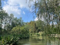 -桤木河湿地公园