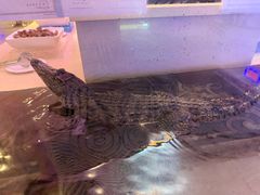 -海韵之星邮轮水会(明发商业广场店)