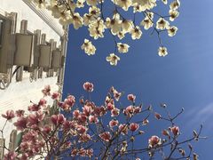 -首都师范大学科德学院