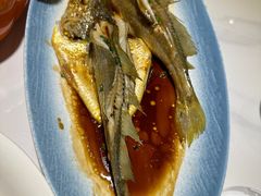 -33号大院·青岛本帮菜(五四广场店)