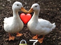 -兰州牛肉拉面(瑞金路)