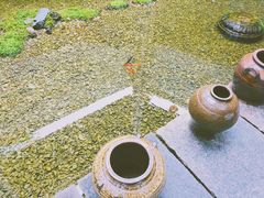 -几荷·恰似故人来(秀水广场店)