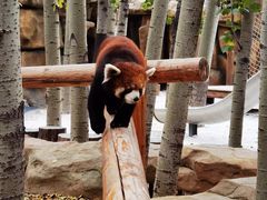 -北京野生动物园