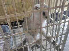 -情忆草原涮肉馆