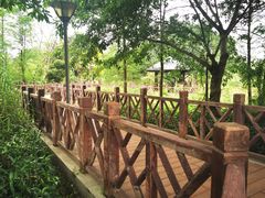 -广东花都湖国家湿地公园