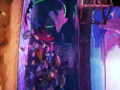 -沈阳海洋探索中心