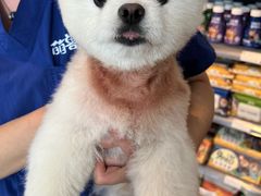 -萌兽医馆·眼科·异宠专科(三里屯店)
